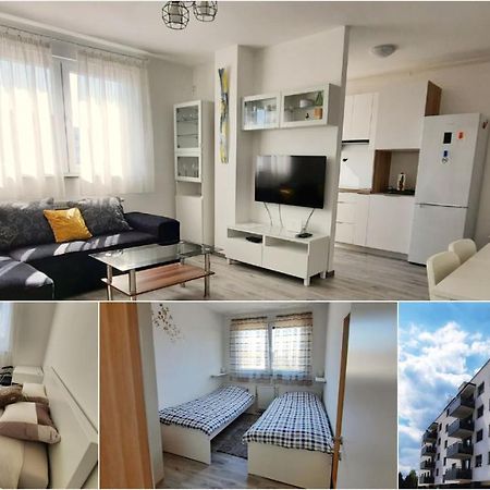 Apartment Mrvica Near The Zagreb Airport 大戈里察 外观 照片